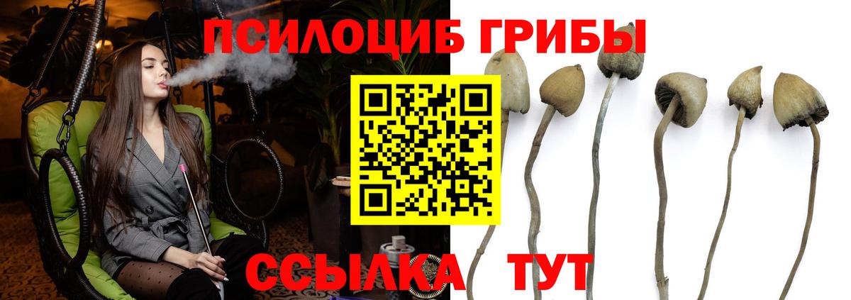 Чита  Псилоцибиновые грибы Cubensis  Вход с VPN  Галлюциногенные грибы Psilocybine cubensis 